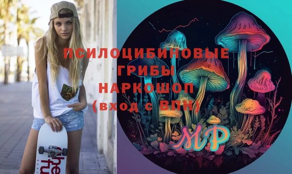 спиды Горно-Алтайск